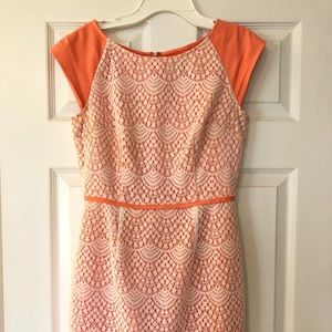 Alex Marie Petite Lace Dress
